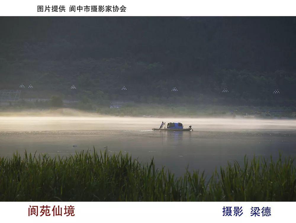 中国跳水队尽遣主力出战游泳世锦赛