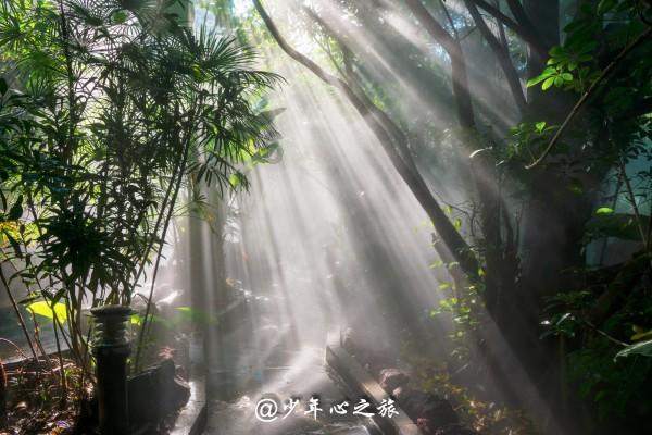 没促销 根本不愁卖！华为Mate 60系列供货增加 可以愉快买了