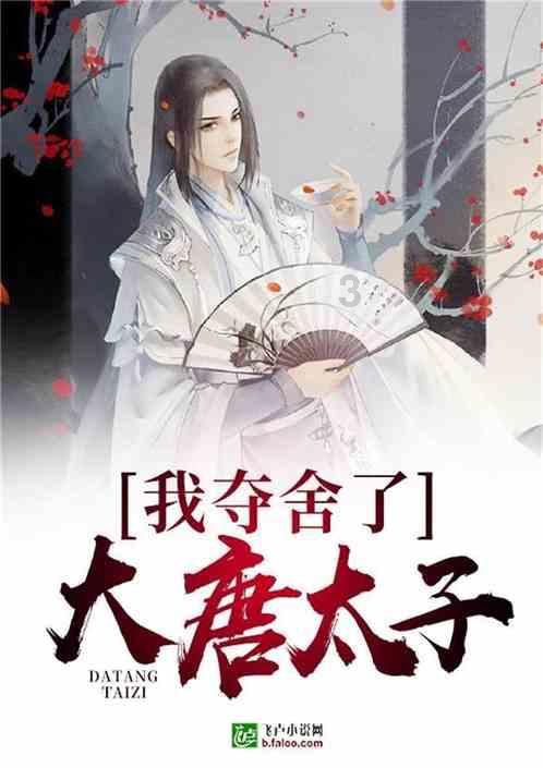 数学男孩